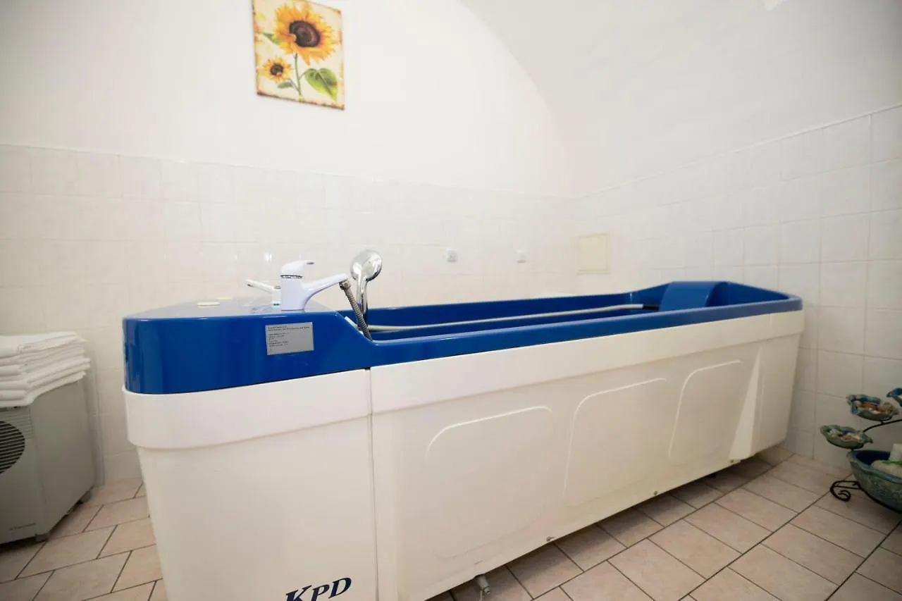 ***  Hotel Paris Marianske Lazne Czech Republic